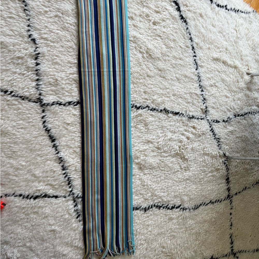 Missoni for Target Multicolor Striped Scarf